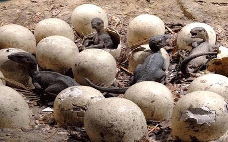 دراسة تكشف: تسونامي عظيم وراء انقراض الديناصورات