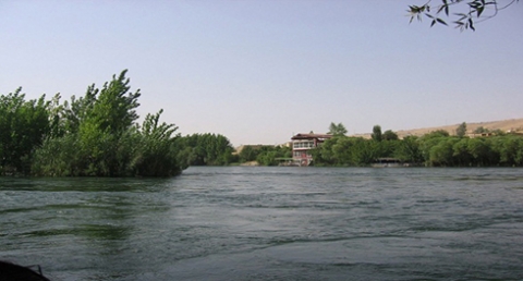 ارتفاع 