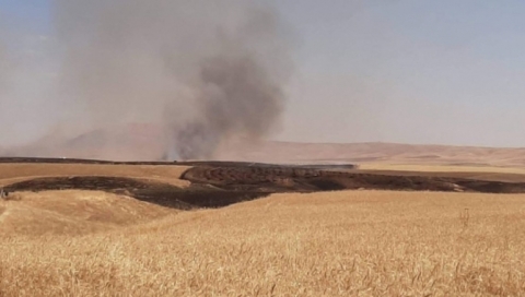 الحرائق تلتهم محاصيل الإيزيديين في شنكال