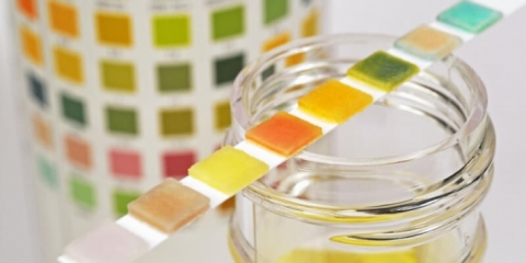 البول يكشف الكثير عن صحتك.. ولونه يكشف عن مشاكل خفية