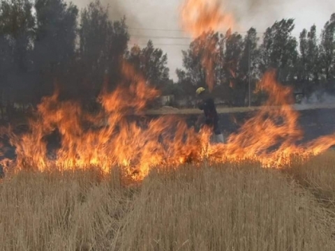 مجهولون يضرمون النيران بمحاصيل الكورد في خانقين