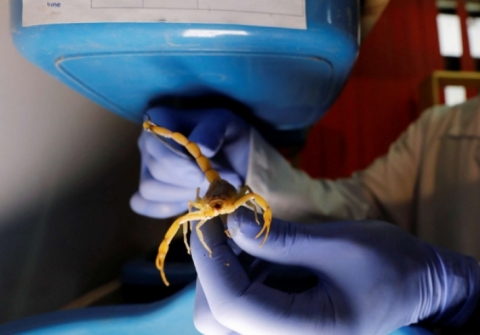 السائل الاغلى عالمياً.. “القطرة” بـ130 دولارا واللتر بملايين