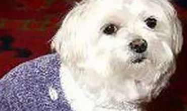 رئيس مجلس إعلان دمشق: لسان حال النظام.. اتركونا نذبح السوريين على مهل