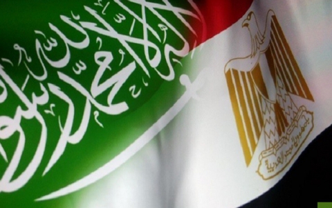 السعودية ومصر تستعدان لقطع العلاقات مع تركيا 