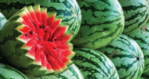 يقي من العطش ويزيد الطاقة.. 11 فائدة لتناول البطيخ في رمضان