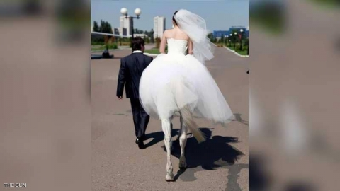 باريدوليا.. 