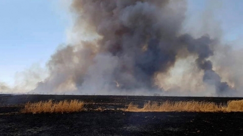 بغداد تعلن اسباب حرائق التهمت عشرات الحقول