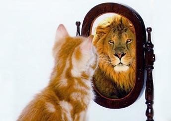 جنون العظمة والبارانويا