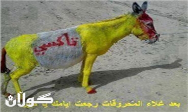 أردنيون يسخرون من غلاء الوقود بـ”الحمار التاكسي”