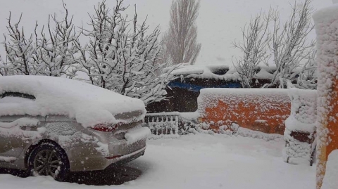 الثلوج تكسو الحدود و