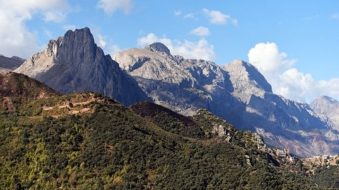 هل الجزائر هي 