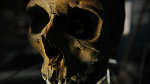 علماء يكتشفون 