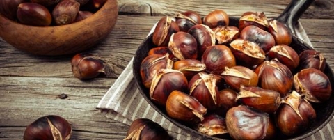 ما لا تعرفه عن فوائد الكستناء الصحية!