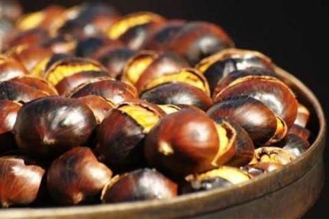 6 فوائد مذهلة للكستناء أهمها مكافحة الكولسترول السيئ