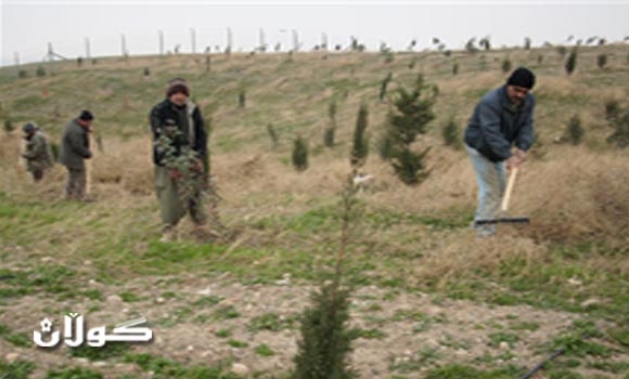 لجنة المادة 140 تعيد 90 ألف دونم من الأراضي بكركوك للكرد والتركمان