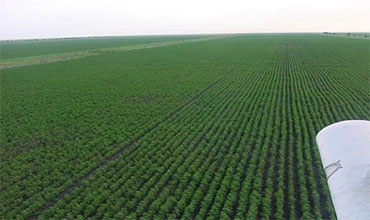 قائم مقام سنجار: الأزمة السياسية أثرت على المشاريع الخدمية