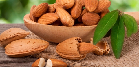 اللوز.. مضاد للكولسترول وخافض للوزن وضغط الدم 