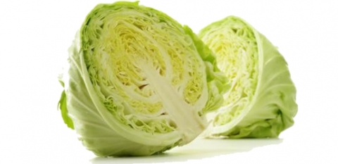 أبرز فوائد الملفوف