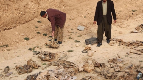 المفوضية العليا لحقوق الانسان: توجد 69 مقبرة جماعية في شنكال