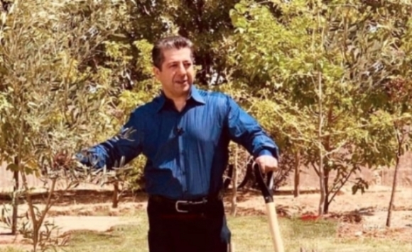 مسرور البارزاني يشارك في حملة تخضير كوردستان ويزرع غرسة زيتون