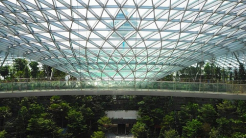 بغابة وأكبر شلال.. سنغافورة تفتتح أغرب مطار بالعالم 