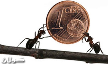 نمل يلتهم ملايين الروبيات في بنك هندي ويصدم المسؤلين!!