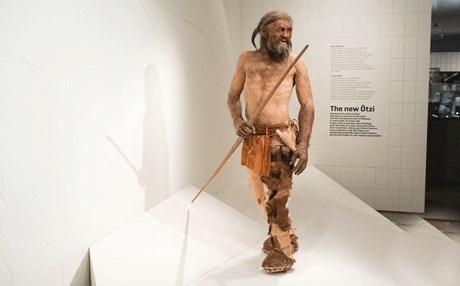 بعد 25 عاماً.. العلماء حائرون بمومياء رجل الثلج 