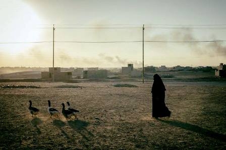 الاتحاد الأوروبي يوفر 15 مليون يورو للمزارعين العراقيين