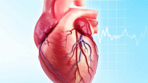 ابتكار أول قلب ثلاثي الأبعاد باستخدام الأنسجة والأوعية الدموية