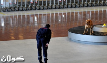 كلاب في مطار تبوك السعودي تمنع رحلتين من الهبوط