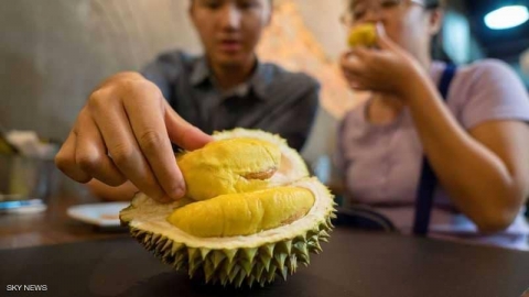 أغلى فاكهة في العالم.. ألف دولار للثمرة الواحدة