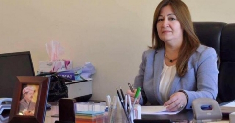 د. فيان: مناقشات مشروع الموازنة تسير بشكل جيد