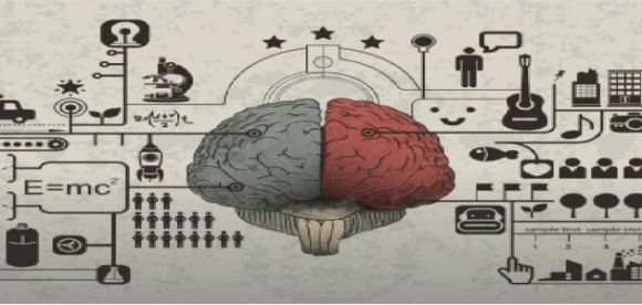 أنواع الذكاء