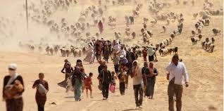 برلماني كوردي: اتفاق شنگال أساس تطبيق المادة 140