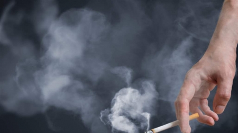 .اليكم 10 حقائق حول التبغ