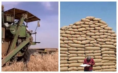  الحكومة السورية تقتطع 