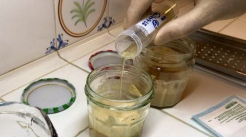 استخدام خميرة فرعونية عمرها 5000 عام لإنتاج خبز أفضل من المعروف حاليا