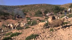 ايران تفرج عن 11 راعيا اعتقلتهم داخل كوردستان