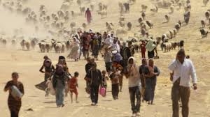 5 أعوام على مأساة سنجار ولا تزال جراح الكورد الإزيديين غائرةً وندية