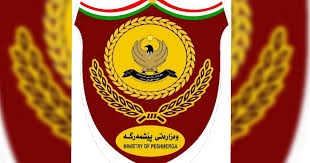 البيشمركة النيابية تكشف آخر مستجدات تشكيل القوة المشتركة الخاصة بضبط المعابر الحدودية