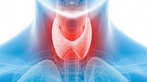 علامات تشير إلى مشاكل في الغدة الدرقية
