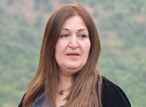 د. فيان صبري: قرار المحكمة بشأن المادة 140 ايجابي ويجب الإلتزام به