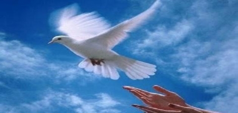 الحرية الكاذبة