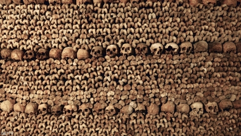 بدلا من الدفن.. واشنطن تجيز تحويل الموتى إلى 