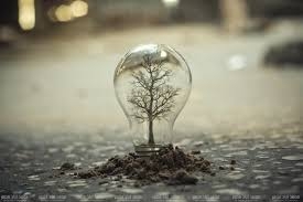 الوعي داخليا وخارجيا