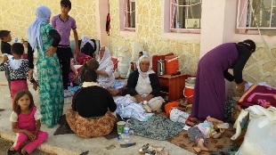 مآسي نازحي سنجار تتفاقم، وجهود اغاثتهم تتعثر