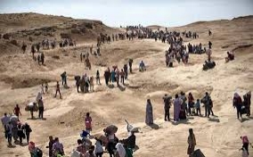 ظروف نازحي سنجار سيئة وجروحهم لن تندمل قريبا