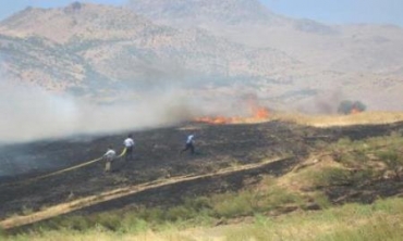 Li Şêxanê bi dehan donim genimên welatiyan hatin şewtandin