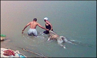 Xwendekarekî Li Duhok ê Canê Xwe Ji Dest Da