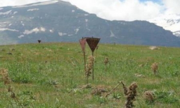 Li Mêrgesûrê Jiber Teqîna Mayînê Jinek Canê Xwe Ji Dest Da